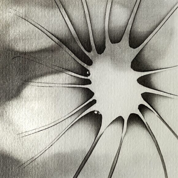 Untitled No.92, Organics Series