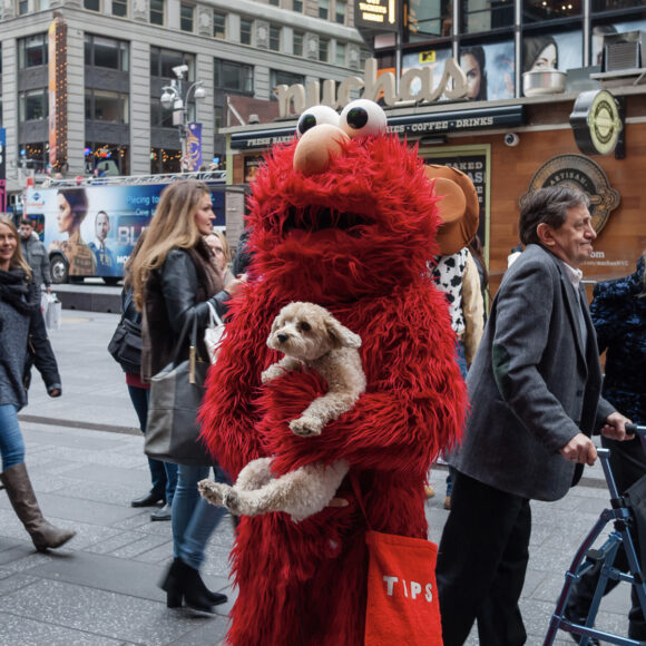 Elmo With Puppy, Times Square, New York, New York, 2015