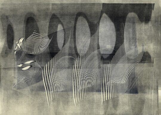 Quartet for Strings, from the Black & White series