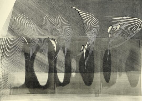 Strings Quartet, Opus 23, from the Black & White series