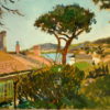 Collioure, Tree