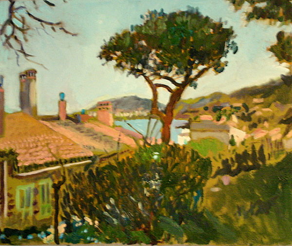 Collioure, Tree